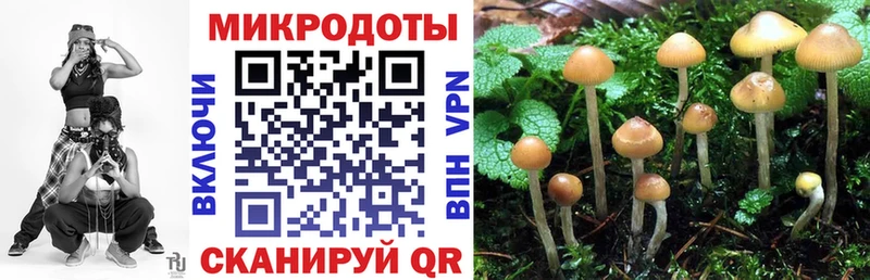 хочу   Лесной  гидра ТОР  Псилоцибиновые грибы мицелий 